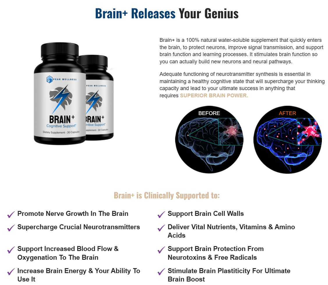 Brain Plus