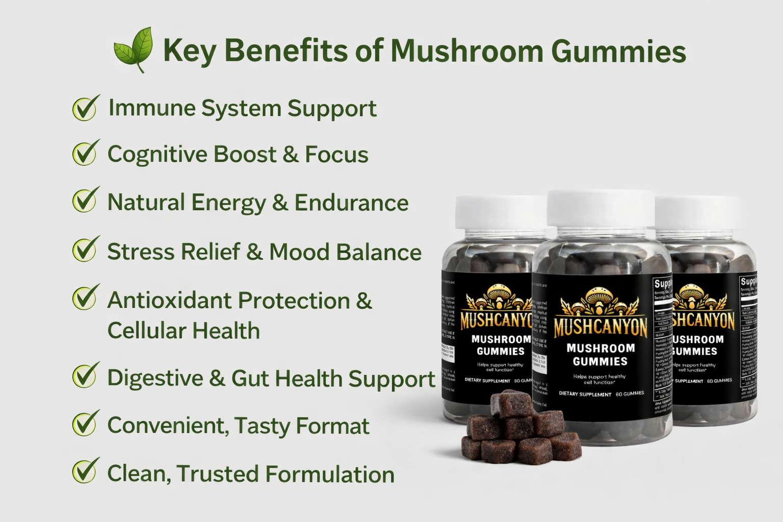 Best Mushroom Gummies