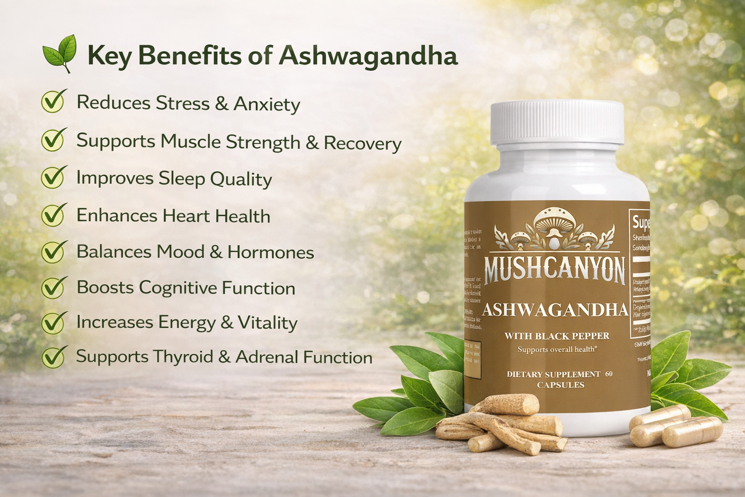 Best Ashwagandha Supplements