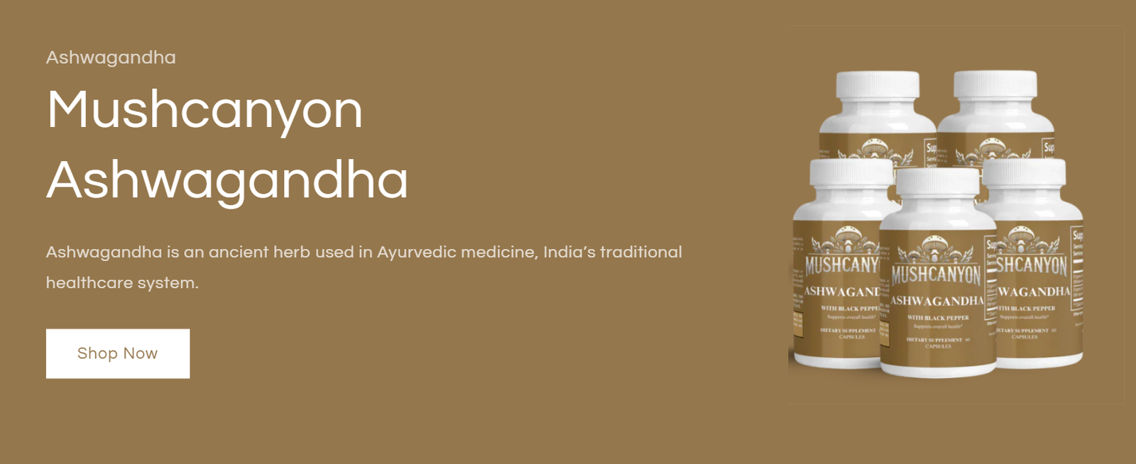 Best Ashwagandha Supplements