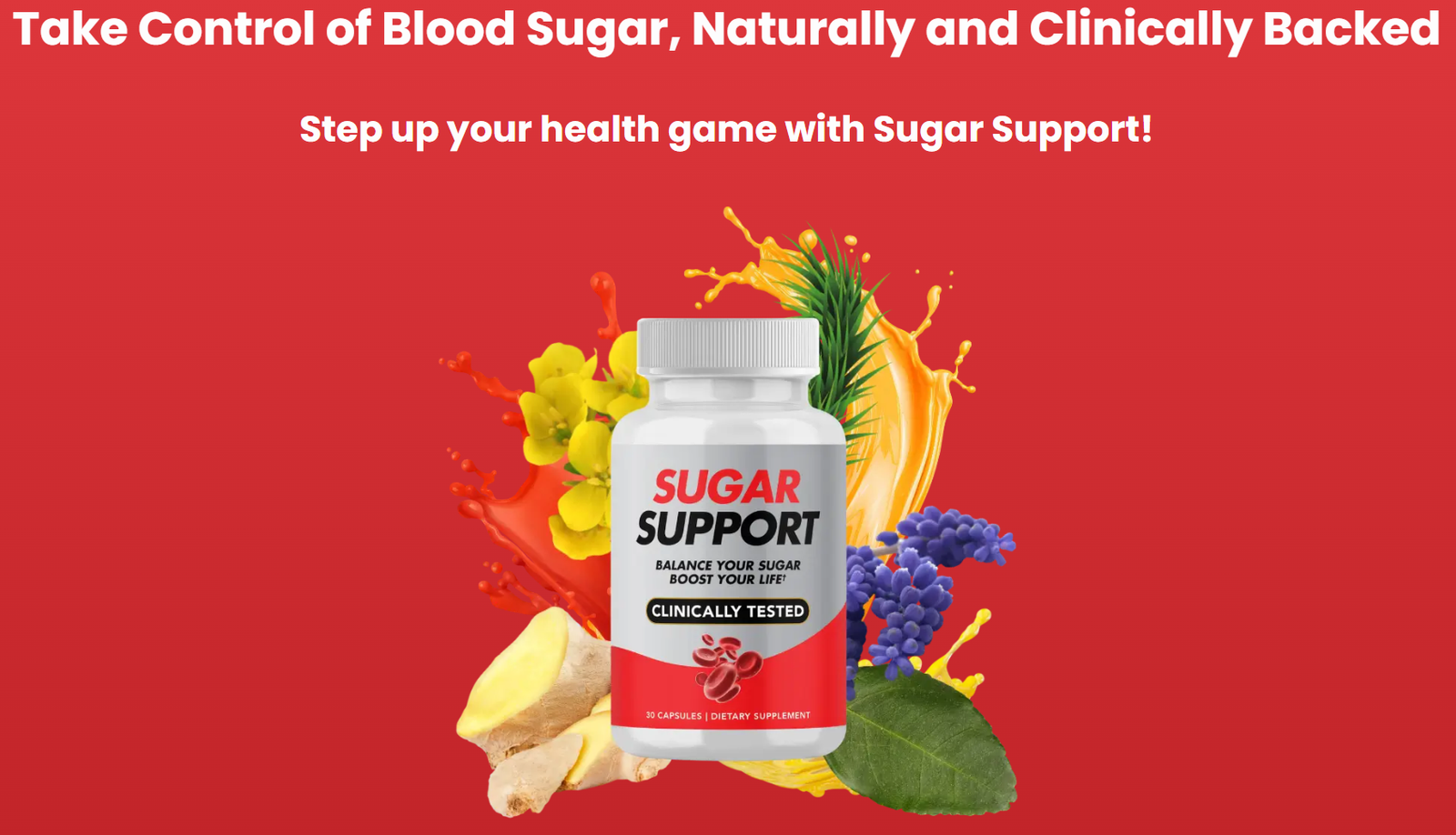 Sugar Support Balance Blood Sugar, Digestive Support, Energy Boost, Weight Management, Mental Clarity, Craving Control, Sugar Support Supplement!